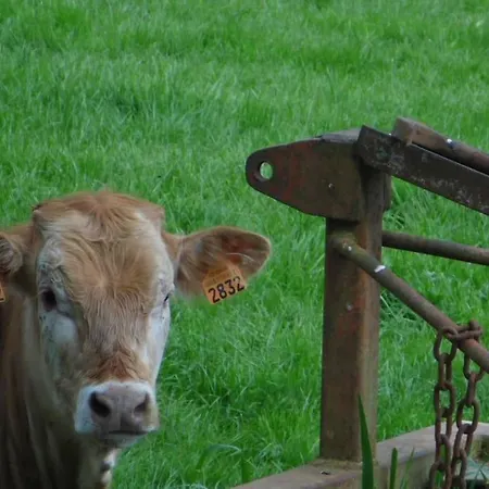 Maison Hahn 度假居 Boubers-les-Hesmond