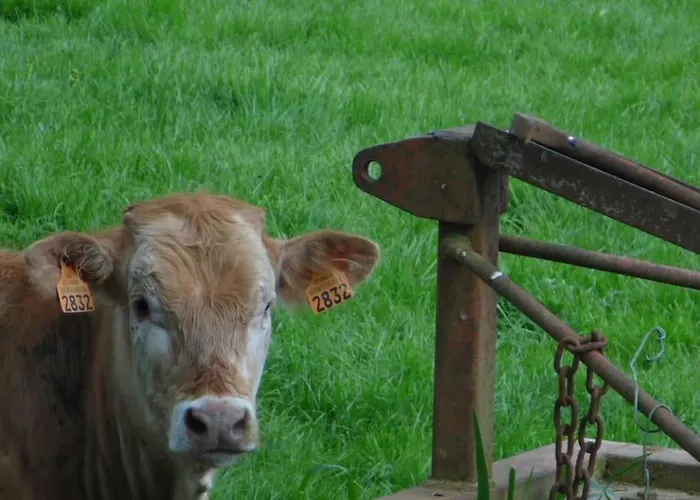 Maison Hahn Hébergement de vacances Boubers-les-Hesmond